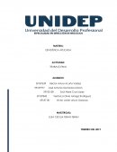 Trabajo final estadistica aplicada UNIDEP