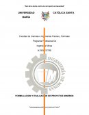 FORMULACION Y EVALUACION DE PROYCTOS MINEROS “ORGANIZACIÓN DE PROYECTOS”