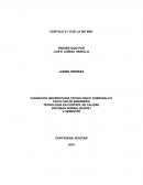 Analisis capitulo 5 y 6 iso 9001 Fumigaciones CP