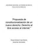 Propuesta de constitucionalización de un nuevo derecho: Derecho al libre acceso al internet