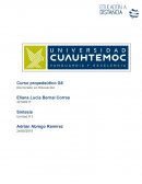 Síntesis Artículo: Plataformas abiertas de e-learning para el soporte de contenidos abierto