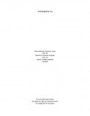 Investigación de mercados. Heladería artesanal de licor