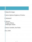 Química Orgánica y Práctica Profesional I