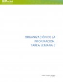 Estrategias de organización de la información