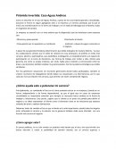 Pirámide Invertida: Caso Aguas Andinas