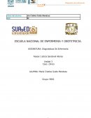Diagnósticos De Enfermería Caso clinico