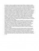 Fundamentos de la auditoria