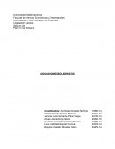 Asociaciones Solidarisas