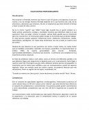 Taller despega profesionalmente. Plan de carrera