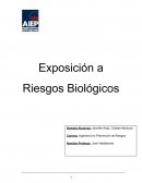Exposicion a riesgos biologicos