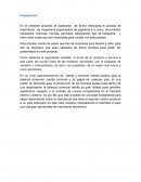 Objetivo del proyecto “plan de exportación” YECTIA