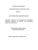Adecuación curricular en adolescentes con Necesidades Educativas Especiales
