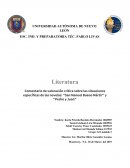 Comentario de valoración crítica sobre las situaciones específicas de las novelas: "San Manuel Bueno Mártir" y "Pedro y Juan"