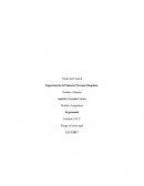 Importancia del Sistema Persona-Maquina