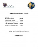 Semillas de cilantro y perejil