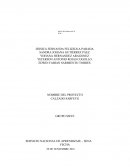 PROYECTO CALZADO SARFEYG