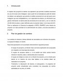 Como Desarrollar un Plan de Gestion