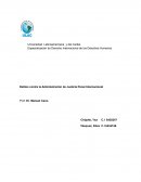 Delitos contra la Administración de Justicia Penal Internacional