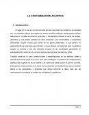 CONTAMINCACION ACUSTICA
