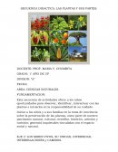 SECUENCIA DIDACTICA: LAS PLANTAS Y SUS PARTES