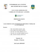 CARACTERÍSTICAS DE LOS DIFERENTES PRINCIPIOS Y NORMAS DE LA CONTABILIDAD