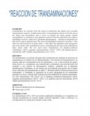 Las transaminasas