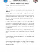 CONSIDERACIONES SOBRE LA ESENCIA DEL DERECHO DEL TRABAJO