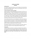 LAZARILLO DE TORMES ANONIMO