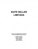 Creación de empresa Seller LTDA