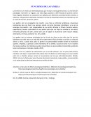FORO 1 FUNCIONES DE LA FAMILIA