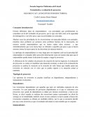 Resumen cap 1 Proyectos de inversion