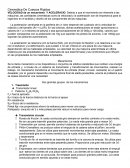 Cinemática De Cuerpos Rígidos