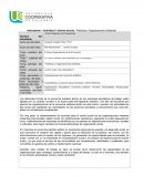 Instrumento – Actividad 3- Informe escrito: “Prácticas y Organizaciones Solidarias”