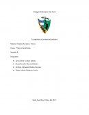 La apertura al comercio exterior