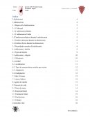 Etapas de la Adolescencias