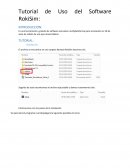 Tutorial de Uso del Software RokiSim