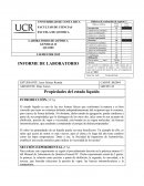 Informe: Propiedades del estado líquido