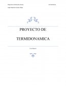 PROYECTO DE TERMIDONAMICA Ciclo Brayton