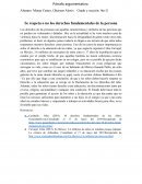 Se respeta o no los derechos fundamentales de la persona