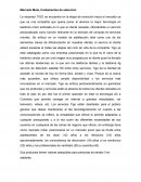 Mercado Meta TIGO Bolivia