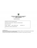 PLanificacion anual primer año ingles