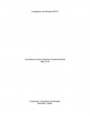 Investgacion mixta cc fundadores