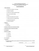 La forma Mas correcta De Crear un Proyecto