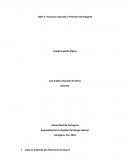 Procesos laborales y patrones de desgaste