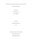 Programa Ingeniería Industrial