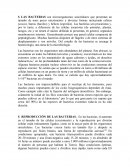 GENES, CROMOSOMAS, BACTERIAS