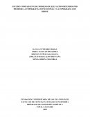 ESTUDIO COMPARATIVO DE MODELOS DE ELEVACIÓN OBTENIDOS POR MEDIO DE LA TOPOGRAFÍA CONVENCIONAL Y LA TOPOGRAFÍA CON DRONE