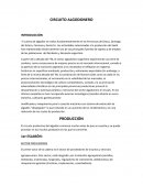 Circuito productivo del algodon