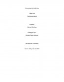 Taller final Comparsa teatral