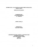 INFORME FASE 5: TALLER VIRTUAL EN LÍNEA SOBRE LENGUAJE SQL (MODELO FÍSICO)